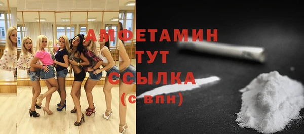 прущие грибы Медногорск