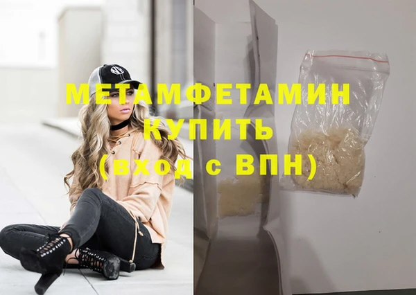 прущие грибы Медногорск