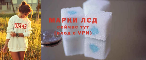прущие грибы Медногорск