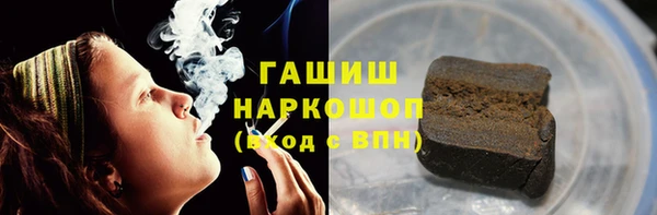 прущие грибы Медногорск