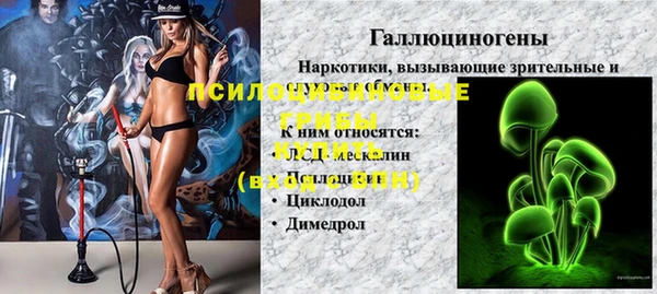 СК Мегион