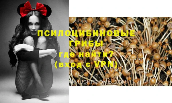 СК Мегион