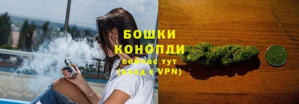 СК Мегион