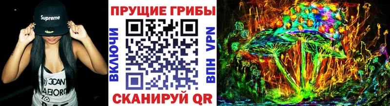 Галлюциногенные грибы Magic Shrooms  Темников 